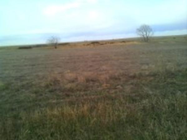 2014.  No-till planting on the Schottler farm near Froid MT.